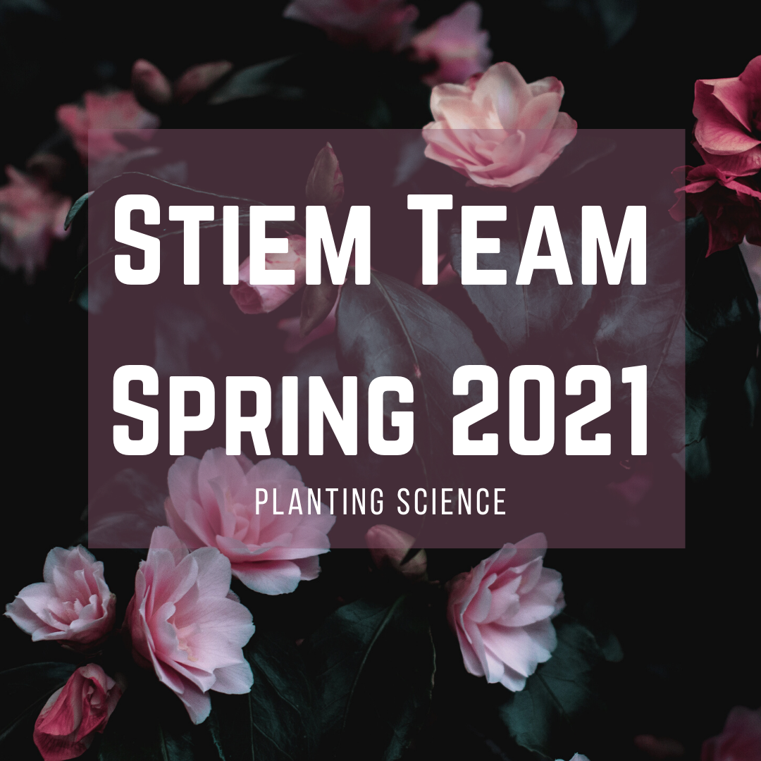 DMS Stiem Spring 2021 Logo