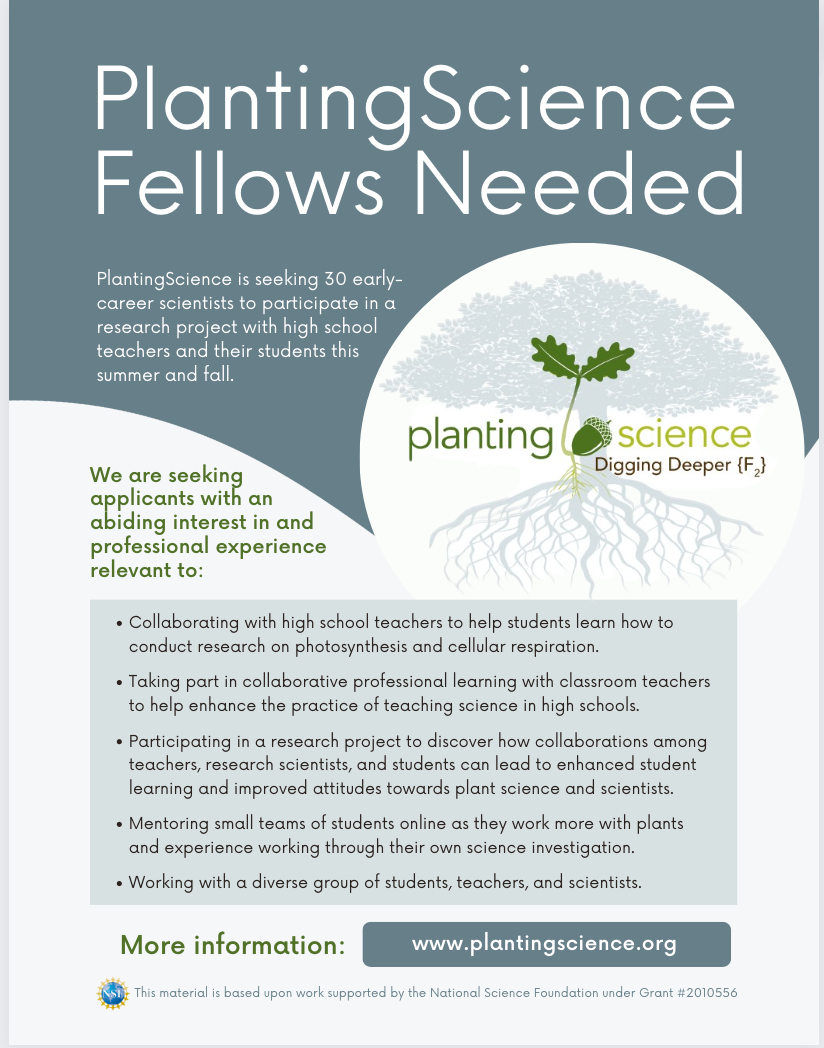 Image of the Fellows Recruitment Flyer