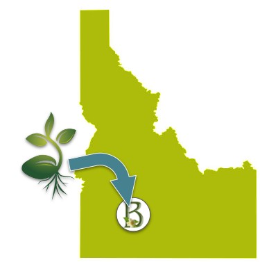 PlantingScience logo with an arrow pointing to the location of Boise in Idaho