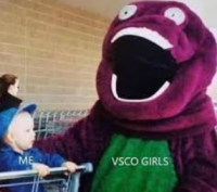 VSCO Girls will fall