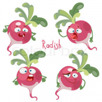 radical radishes