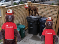Canadian Chick-fil-A Trash Bears
