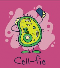 Let's Take a Cell-fie