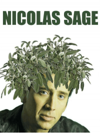 Nicolas Sage