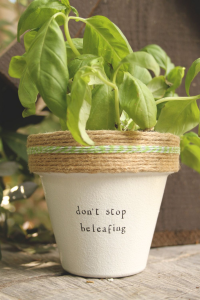 Don't Stop Beleafing!